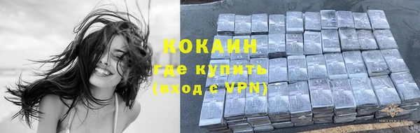крисы Осинники