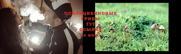 spice Алексин