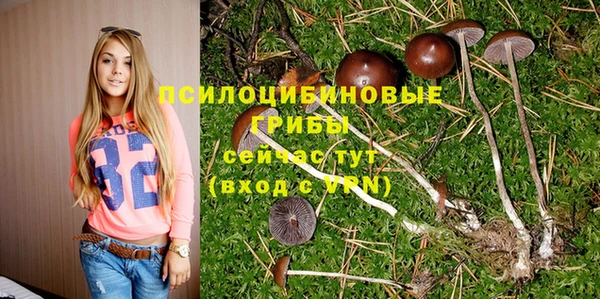 spice Алексин