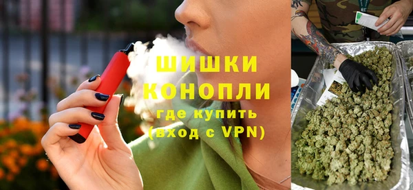 крисы Осинники