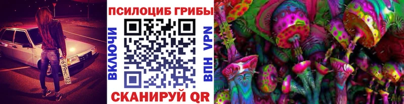 Псилоцибиновые грибы мухоморы  наркошоп  мориарти официальный сайт  Сыктывкар 