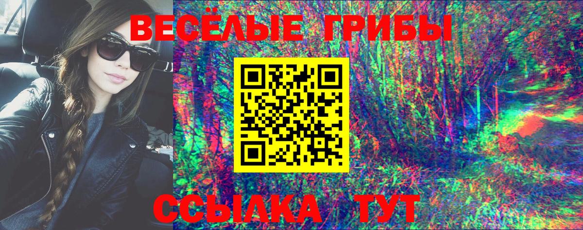 Псилоцибиновые грибы мухоморы Сыктывкар