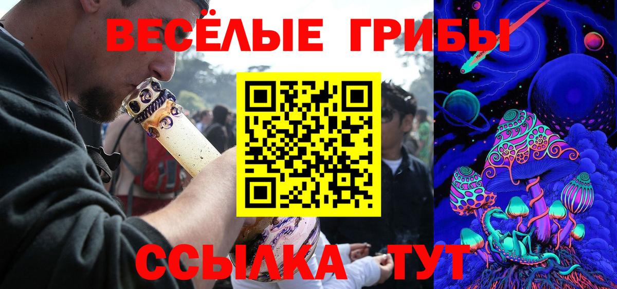 A PVP Сыктывкар