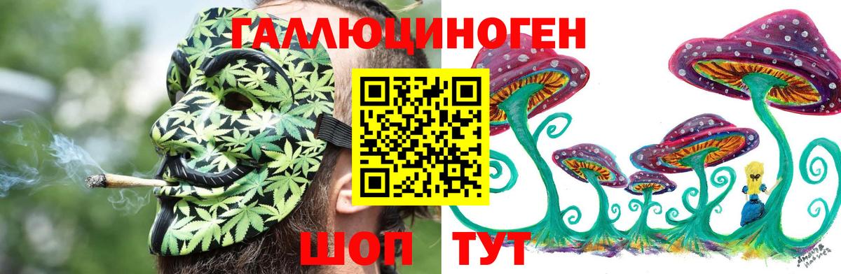 Галлюциногенные грибы Cubensis  Вход с VPN  Сыктывкар  купить наркотик  Псилоцибиновые грибы Magic Shrooms 